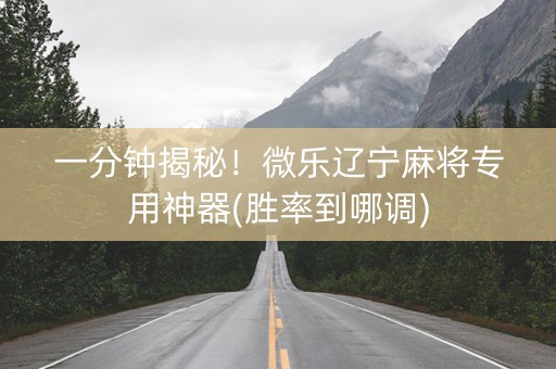 一分钟揭秘！微乐辽宁麻将专用神器(胜率到哪调)