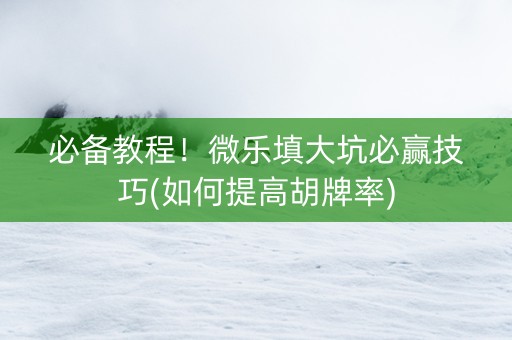 必备教程！微乐填大坑必赢技巧(如何提高胡牌率)