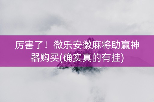 厉害了！微乐安徽麻将助赢神器购买(确实真的有挂)