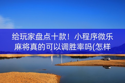 给玩家盘点十款！小程序微乐麻将真的可以调胜率吗(怎样设置才容易赢)