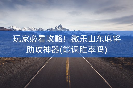 玩家必看攻略！微乐山东麻将助攻神器(能调胜率吗)