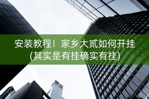 安装教程！家乡大贰如何开挂(其实是有挂确实有挂)