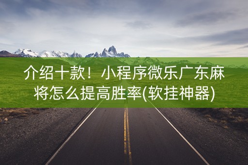 介绍十款！小程序微乐广东麻将怎么提高胜率(软挂神器)