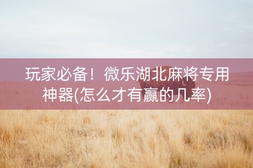 玩家必备！微乐湖北麻将专用神器(怎么才有赢的几率)