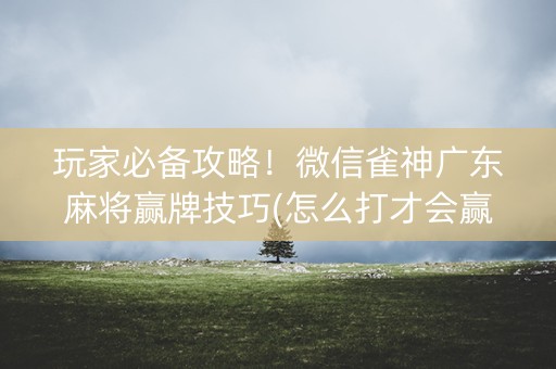 玩家必备攻略！微信雀神广东麻将赢牌技巧(怎么打才会赢)