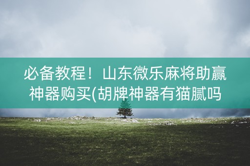 必备教程！山东微乐麻将助赢神器购买(胡牌神器有猫腻吗)