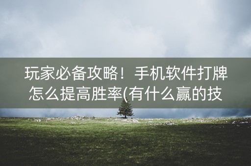 玩家必备攻略！手机软件打牌怎么提高胜率(有什么赢的技巧)