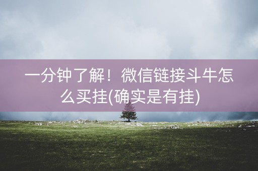 一分钟了解！微信链接斗牛怎么买挂(确实是有挂)