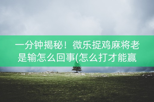 一分钟揭秘！微乐捉鸡麻将老是输怎么回事(怎么打才能赢)