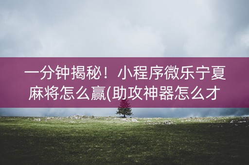 一分钟揭秘！小程序微乐宁夏麻将怎么赢(助攻神器怎么才会赢)