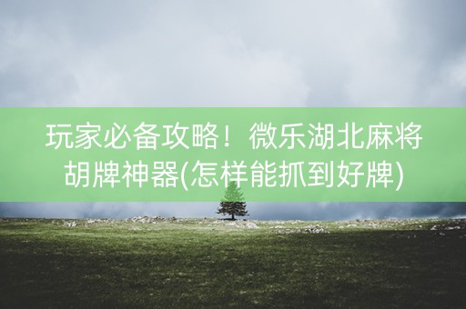 玩家必备攻略！微乐湖北麻将胡牌神器(怎样能抓到好牌)