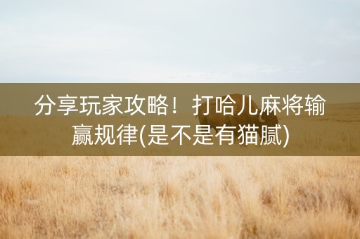 分享玩家攻略！打哈儿麻将输赢规律(是不是有猫腻)