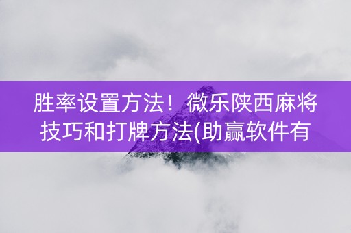 胜率设置方法！微乐陕西麻将技巧和打牌方法(助赢软件有规律吗)