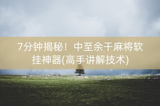 7分钟揭秘！中至余干麻将软挂神器(高手讲解技术)