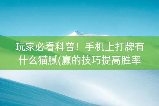 玩家必看科普！手机上打牌有什么猫腻(赢的技巧提高胜率)