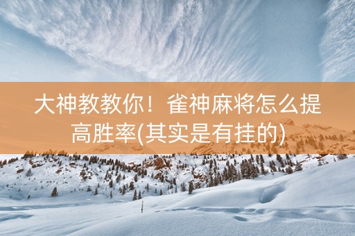 大神教教你！雀神麻将怎么提高胜率(其实是有挂的)