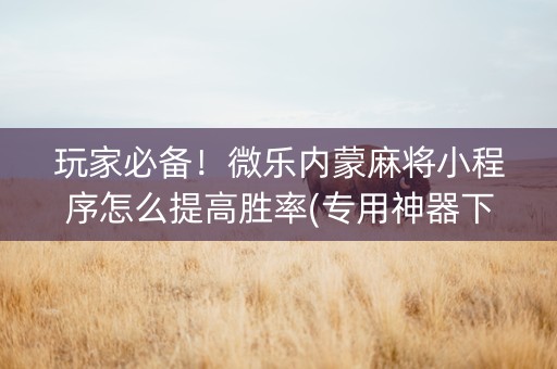 玩家必备！微乐内蒙麻将小程序怎么提高胜率(专用神器下载)