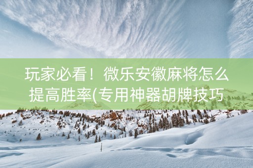 玩家必看！微乐安徽麻将怎么提高胜率(专用神器胡牌技巧)