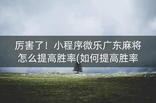 厉害了！小程序微乐广东麻将怎么提高胜率(如何提高胜率)