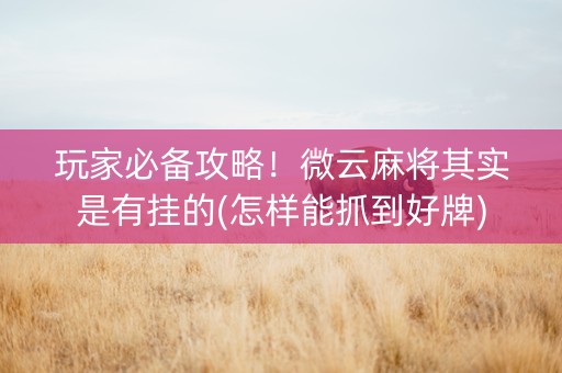 玩家必备攻略！微云麻将其实是有挂的(怎样能抓到好牌)