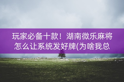 玩家必备十款！湖南微乐麻将怎么让系统发好牌(为啥我总是输)