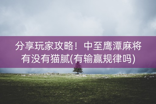 分享玩家攻略！中至鹰潭麻将有没有猫腻(有输赢规律吗)
