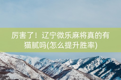 厉害了！辽宁微乐麻将真的有猫腻吗(怎么提升胜率)