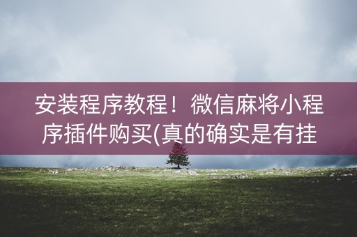 安装程序教程！微信麻将小程序插件购买(真的确实是有挂)