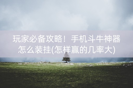 玩家必备攻略！手机斗牛神器怎么装挂(怎样赢的几率大)