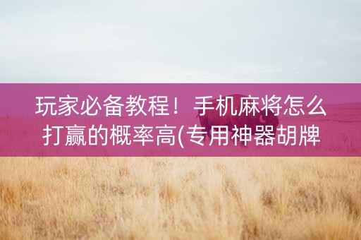 玩家必备教程！手机麻将怎么打赢的概率高(专用神器胡牌技巧)