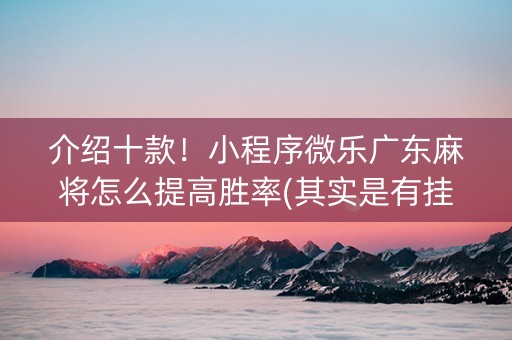 介绍十款！小程序微乐广东麻将怎么提高胜率(其实是有挂的)