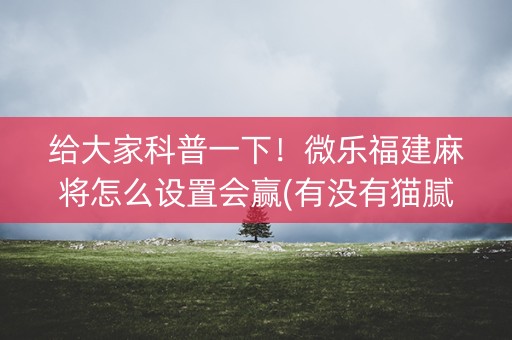 给大家科普一下！微乐福建麻将怎么设置会赢(有没有猫腻)