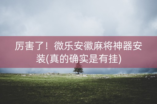 厉害了！微乐安徽麻将神器安装(真的确实是有挂)