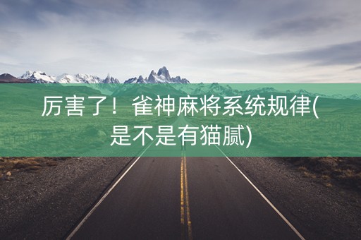 厉害了！雀神麻将系统规律(是不是有猫腻)