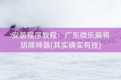 安装程序教程！广东微乐麻将胡牌神器(其实确实有挂)