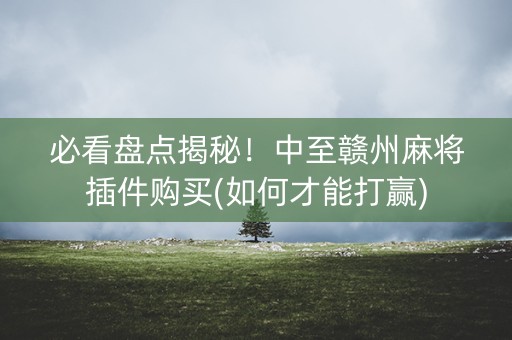 必看盘点揭秘！中至赣州麻将插件购买(如何才能打赢)
