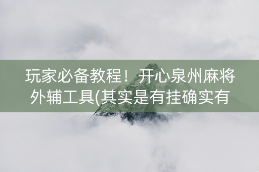 玩家必备教程！开心泉州麻将外辅工具(其实是有挂确实有挂)