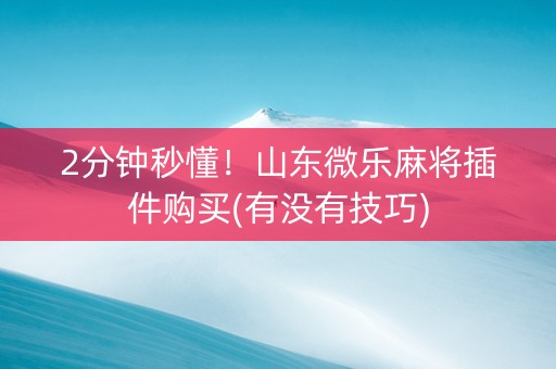 2分钟秒懂！山东微乐麻将插件购买(有没有技巧)