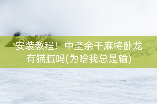 安装教程！中至余干麻将卧龙有猫腻吗(为啥我总是输)