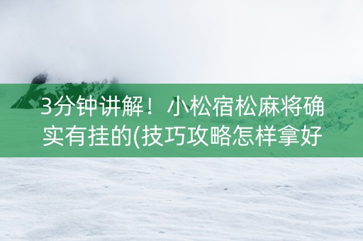 3分钟讲解！小松宿松麻将确实有挂的(技巧攻略怎样拿好牌)
