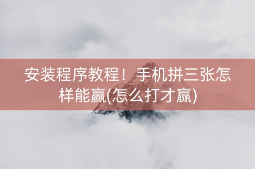 安装程序教程！手机拼三张怎样能赢(怎么打才赢)