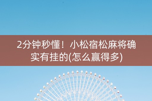 2分钟秒懂！小松宿松麻将确实有挂的(怎么赢得多)