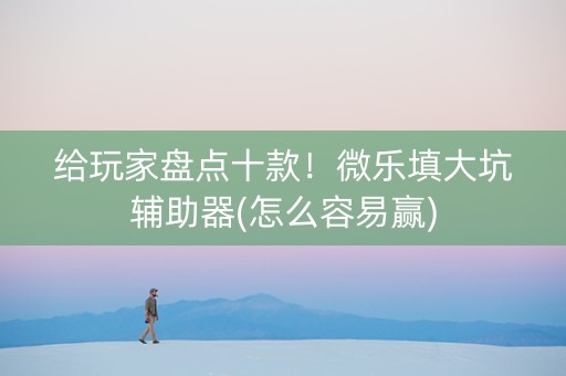 给玩家盘点十款！微乐填大坑辅助器(怎么容易赢)