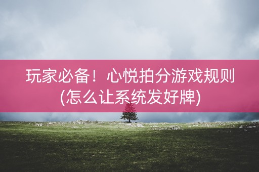 玩家必备！心悦拍分游戏规则(怎么让系统发好牌)