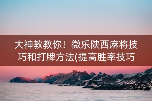 大神教教你！微乐陕西麻将技巧和打牌方法(提高胜率技巧)
