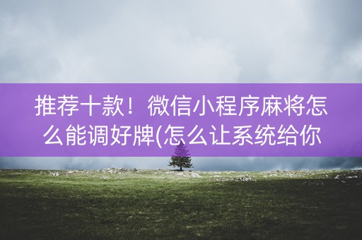 推荐十款！微信小程序麻将怎么能调好牌(怎么让系统给你发好牌)