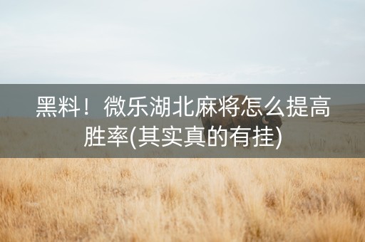 黑料！微乐湖北麻将怎么提高胜率(其实真的有挂)