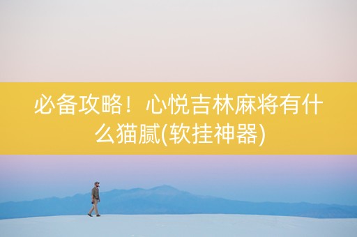 必备攻略！心悦吉林麻将有什么猫腻(软挂神器)
