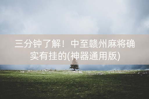 三分钟了解！中至赣州麻将确实有挂的(神器通用版)