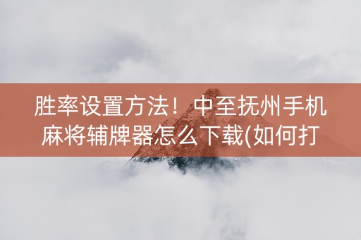 胜率设置方法！中至抚州手机麻将辅牌器怎么下载(如何打赢有插件吗)